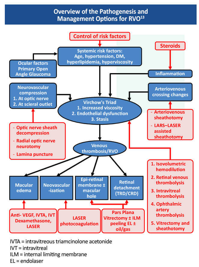 Retinal Vein Occlusion Management